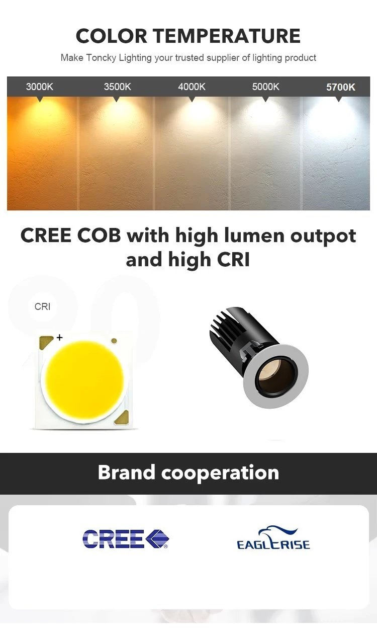 ĐÈN LED ÂM TRẦN CHIẾU ĐIỂM TPT-D0836S