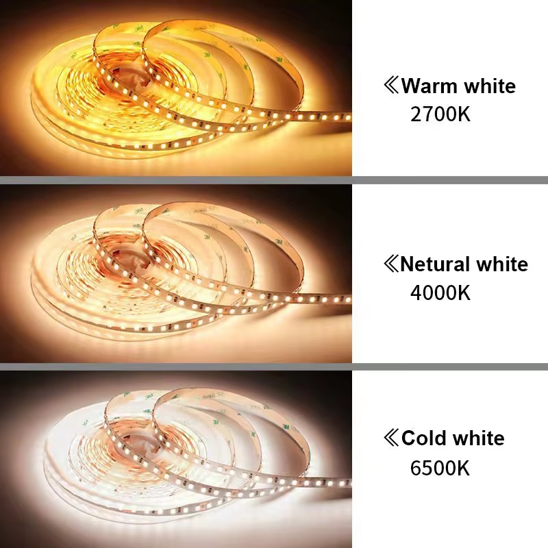 ĐÈN LED DÂY SMD 24V TPT-2835F-24V 16W/M , 21W/M