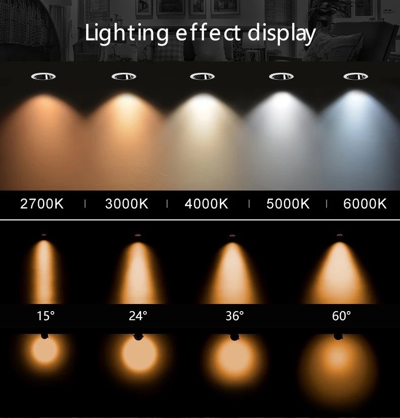 ĐÈN LED RỌI RAY CHỐNG CHÓI TPT-T0955