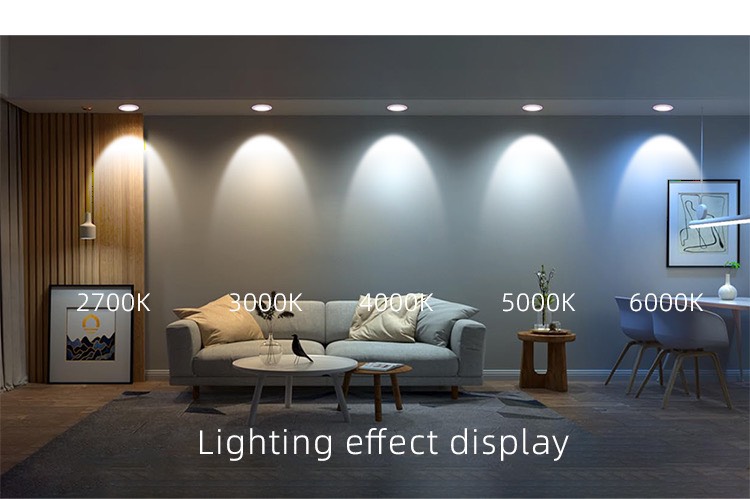 ĐÈN LED ÂM TRẦN CHIẾU ĐIỂM TPT-D100636WP