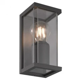 Đèn tường ngoài trời TPT-WL12170 6W