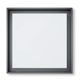 Đèn tường ngoài trời TPT-CL25270S