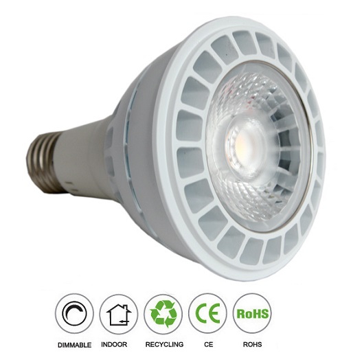 BÓNG ĐÈN LED PAR30 E27 21W 