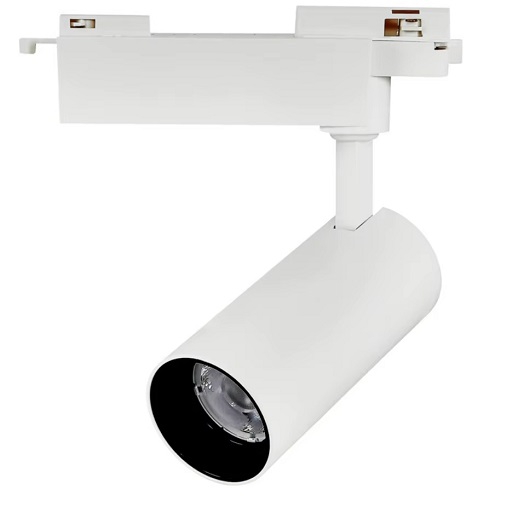 ĐÈN LED RỌI RAY TPT-T10605A 