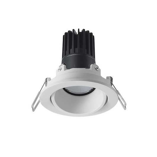 ĐÈN  LED  ÂM TRẦN  CHIẾU ĐIỂM TPT-C1085