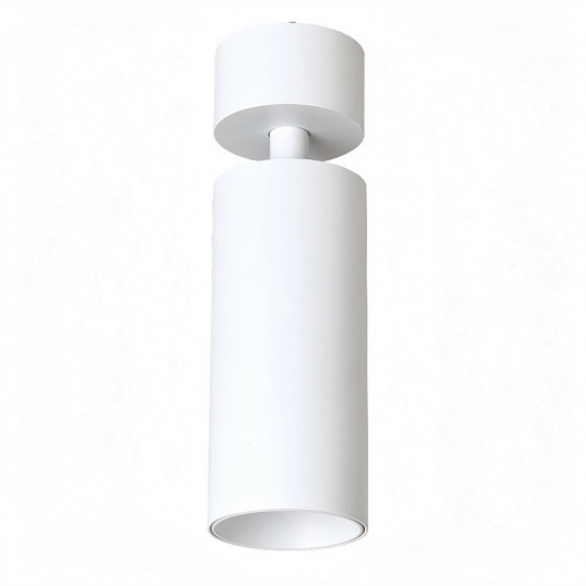 ĐÈN LED CHIẾU ĐIỂM TPT-S1252