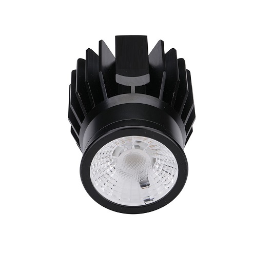 BÓNG ĐÈN LED CHIẾU ĐIỂM TPT-MD23